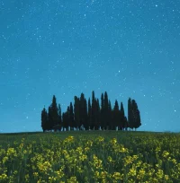 為了錢去迎合或激發對方的劣，是在做劊子手，做幫兇，協助對方墮落的更深更快，這是在fanzui。配圖