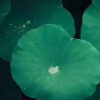 所以，不要看不起任何一個人，人與人相交，各有各的長處，他這一點不對，另一點會是對的。有兩個重點要注意的：“不因其人而廢其言，不因其言而廢其人。”這個家伙的行為太混蛋了，但有時候他說的一句話，意見很好。你要注意，不要因為他的人格有問題，或者對他的印象不好，而對他的好主意，硬是不肯聽，那就不對了。有時候“不因其言而廢其人”，這個人一開口就罵人，說粗話，你認為說粗話的土包子，沒有學問，然后把他整個人格都看低了。這都不對，不能偏差，“無友不如己者”，世界上每個人都有他的長處，我們應該用其長而舍其短，所以“過則勿憚改”，因為看到了每一個人的長處，發現自己的缺點，那么不要怕改過，這就是真學問。
——南懷瑾《論語別裁》配圖