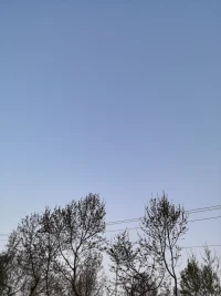 所以真正的佛法在破除迷信的哦，佛法的根本是無主宰。有一個上帝、閻王，有個命運作人家主宰，是沒有的哦！主宰的都是你的心，不是這個意識思想的心，那個根本心還沒有講到，但是也不是唯物的，因為物理世界、精神世界是一個功能所變出來的，這個心的作用，這一部分是很高的，慢慢再討論。
——南懷瑾《南禪七日》配圖