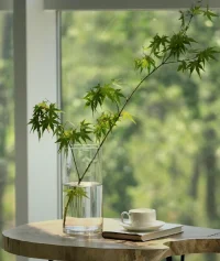 船子德誠禪師告訴他：藏身處沒蹤跡，沒蹤跡處莫藏身。這兩句話包括得非常多，做功夫方面，“藏身處沒蹤跡”，指身體的感覺沒有了，心理上的雜念也沒有了，三際托空，一點影子都沒有了。但是，空的境界不能住久，住久了，人就懶了。所以“沒蹤跡處莫藏身”，未有久住而不行者，不能永遠在山里頭做自了漢，要出來做功德，做救苦救難的事。所以船子德誠叫夾山“藏身處沒蹤跡”，先去住茅蓬，隱起來，不要讓人知道，等功夫到家以后，“沒蹤跡處莫藏身”。
?——南懷瑾《如何修證佛法》配圖