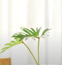 現在告訴大家，為何需要打坐修定。打坐盤腿修定，與明心見性沒有多大關系，真的明心見性，不一定是靠打坐的，但又有絕對的關系。若想回到本來清凈面目，進一步轉換這個色身，就非靠打坐不可。除此之外，無第二條路可走，而且非經修持功夫不可。為什么？明知那個是自然的東西，但是這個自然的東西，被無始以來的塵埃涂蒙得太多，非清理不可。因此修各種功夫的目的，也就是先清理之后，才能見本來。
?——南懷瑾《如何修證佛法》配圖