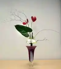 走了那么久
別忘記來時的路配圖