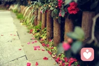 失去的，會在另外一個地方存在的更美好。---------當人們失去生命中珍愛的人或事物時，如果我們能超然于自己的得失，而是用更高的次第與更廣的面向去看待我們生命中的種種失落，我們就可以早日走出自我的傷痛。當我們帶著愛和祝福去看待自己的失落時，失落本身也會顯得如此之美。配圖