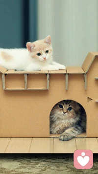 我以為我愛你，離不開你。后來才明白，我只需要你，不習慣而已。嬰兒時，沒有照看者，我們會死。成人后，離了誰，我們都能活。所有的戀愛與婚姻只是與自己的相處，幸福與否只取決于你是否真愛自己。配圖