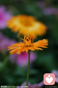 外在的人事物其實都與我們的內心互為鏡子。你如何看待人事物，這同時也定義著你自己是誰。配圖