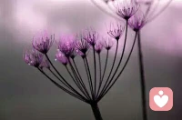 无论内在和外在发生了什么，
我们的灵魂应始终整装待发，
准备好迎接生命奇妙的历程，
当我们灵魂不畏惧任何变化，
我们就可以穿越所有的体验，
收获自己奇妙而独特的蜕变。配图