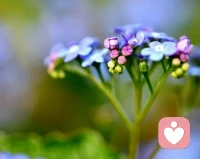 如果我们对改变抱持开放的心态，又可以凭借着爱这种天然而神奇的“激素”，我们便可以改变大脑神经的结构和神经的张力，激发出体内生物化学的新生反应，重塑体内的细胞。使我们显得的更加健康、幸福、合群、智慧。而在这种不断循环不断强化的过程中，这种变化会深嵌在我们细胞的DNA中。配图