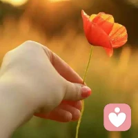 當一個人跳出她過去的限制，她會看到更大的空間，更多的可能性，體驗到生活中更多的美！當我看到更多的人開始專注好的，美的，積極的，我為她們感到高興。——咨詢感悟配圖