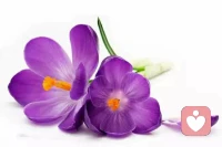 在成长的过程中，大多数人或多或少都有些伤痕，我们总是带着旧日的伤痕在付出和接受之间进退两难。只有与内在的灵魂连接，认识到自己值得被爱，生命值得被信任，学会欣赏彼此的不完美才能真正的打开心门，让爱进来。配图