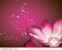 爱自己是活在当下，爱自己是对自己的心情负责，爱自己是接纳自己和一切，爱自己是与自己的痛苦感受在一起，爱自己是深信他人内心都是善意的，爱自己是好好对待他人，爱自己是活出真正的你自己，爱自己是感恩现实的仁慈，爱自己是接受宇宙的恩典。配图