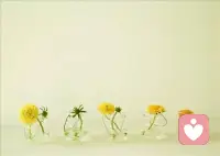 所谓觉察力，就是你要时刻明白你在做什么，时刻保持清醒状态，并能随时终止你的作为。要注意绝对不能被情绪裹挟，从而沉溺于情绪中不能自拔。配图