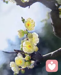 在这喧闹的凡尘，我们都需要有适合自己的地方，用来安放灵魂。也许是一座安静宅院，也许是一本无字经书，也许是一条迷津小路。只要是自己心之所往，都是驿站，为了将来起程不再那么迷惘。配图