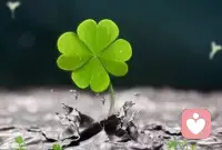 ABC法则与新ABC法则：

Activating　Even触发事件
Beliefs 信念或价值观
Consequences 引起的结果或感受 
适用范围：心态调整、如报怨、失落；婚姻、管理、亲子。很多人都以为C是A的直接后果。但奇怪的是，相同的触发事件对不同的人会引起多种不同的感受。所以我们现在知道B（信念）其实是决定性的因素，主导所引起的感受。当你了解了这些理论时，你可以有新的ABC法则：Awareness觉察；Beliefs信念；Choices选择。配图