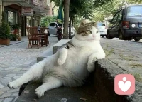 在复杂的环境里依然可以活的简单自在，就是活出了自己哦。。配图