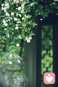 人生就是一场修行，菩提树下的许诺，也许咫尺，也许天涯。在最深的红尘里相惜。在纷扰的尘世迷失荒径。端坐在涅槃上，醉倒在落花前。尘世间，总会有故事起起落落。总会有心情浮浮沉沉。繁华过后皆为烟。一切都会在指尖中慢慢搁浅。谁又能守住光阴的逝去，留住似水流年？雨未央，风依旧；曲未尽，人已散。人生，是一场又一场的缘。不知道，哪个驿站遇见，不知道，哪个路口分手。且行且珍惜!配图