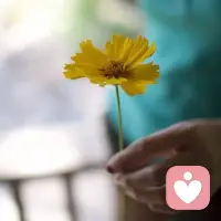 在红尘里守一处风景，我会在斑驳的记忆里，独伫一幕清秋，独织一帘幽梦！淡淡的时光里，轻展笔墨的馨香。无关风月，只为内心的丰盈，曾经的疏离，曾经的过往，得到与失去，都已是拈花一笑的释然……配图