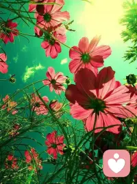 2015年，转眼只剩下两周。你是不是常感慨白驹过隙，梦想来不及实现？而别人总能过得无比充实，无比精彩？沈从文先生说，生命的价值不过是占有几十年时间，聪明者理解生活，愚蠢者习惯生活。亲爱的，你呢？配图