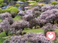 【转】最容易被职场淘汰的八种人。1不善学习的人。2知识陈旧的人。3目光短浅的人。4反应迟钝的人。5单打独斗的人。6技能单一的人。7情商低下的人。8心理脆弱的人。配图