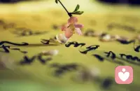 　　人生失去了方向，也就失去了驾驭快乐的手段，导致很多人在幸福中选择了不快乐。我们每个人的快乐、烦恼和痛苦都不是因为事情的本身，而是我们看问题的观念和态度。就像弥尔顿说的：“意识本身可以把地狱造就成天堂，也能把天堂折腾成地狱。”配图