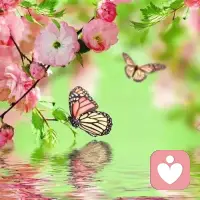 保留自我的棱角，
又有接纳他人的圆润而活着。
以一颗无尘的心，还原生命的本真。
最美的你不是生如夏花，
而是在时间的长河里，波澜不惊。配图