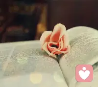 我们每个人都要面对至少三个世界，一个是，现实世界；一个是，我的心理世界；还有一个是他（她 ）的心理世界。要达成一致，我们就需要学习如何沟通才能让这三个世界的东西都能被我们和对方知道。这样我们就能形成很好的交流了。配图