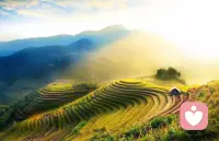 要想除掉旷野里的杂草，只有一种方法，那就是种上庄稼。要想心灵不荒芜，唯一的方法就是修养自己的美德。配图