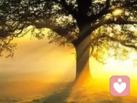 成为一棵大树的第一个条件：时间。没有一棵大树是树苗种下去，马上就变成了大树，一定是岁月刻画着年轮，一圈圈往外长。第二个条件：不动。没有一棵大树，第一年种在这里，第二年种在那里……最后能够长成一棵大树。一定是千百年来，经风霜，历风雨，屹立不动。正是无数次的经风霜、历雨露最终成就大树。第三个条件：根基。树有千百万条根，粗根、细根、微根，深入地底，忙碌而不停地吸收营养，成长自己。配图