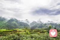 幸福其实很简单，只是我们内心的一种感觉，我们对待事物的态度，是消极的，还是积极的，我们在乎什么，寻找什么，我们的比较心怎样？如果回答了这么问题，你的心是否会平静呢？配图