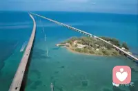 带着感恩的心活着，爱父母，爱自己，爱朋友，爱同事，爱自然，心中有爱，就会温暖，脸上有微笑，人际关系就会和谐。配图