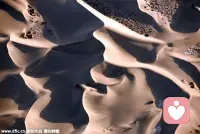 对待哀伤的能力，也反应了一个人成长的能力。每一个挫折，也是我们成熟的机会。给我们带来挫折的人，也是一位老师，他教会我们成长，成熟。配图