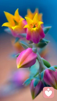 自己做出选择而活下去的人生，让人感觉舒服多了。正因为这是自己做出的选择，这人生才可以无怨无悔，这条路才可以不慌不忙、不急不火地走下去，因为你知道你随时可以退场，所以你不必这么急着去，人生再绝望，也可以留下来，慢慢欣赏。配图