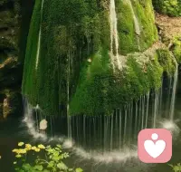 【转】挫败使人苦痛，却很少有人利用挫败的经验修补自己的生命。这份苦痛，就白白的付出了。小聪明人，往往不能快乐。大智慧人，经常笑口常开。伤心最大的建设性，在于明白，那颗心还在老地方。造化弄人，人靠自我的造化弄天。 ——三毛 《伤》配图