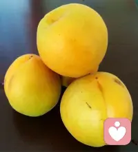 梦的出现，是心理和生理的综合反应，除此之外，具体的梦历与就寝的物理环境有一定关系，有些还是直接关系。毋需对梦神秘化和诡异解释，心理分析帮你认识潜在的自我。配图