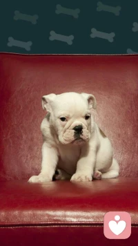 坚定的人，懂得在听不到掌声和肯定的时候，多爱自己一点。配图