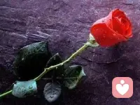 三毛说：“书读多了，容颜自然改变，很多时候，自己可能以为许多看过的书籍都成为过眼烟云，不复记忆，其实它们仍是潜在的气质里、在谈吐上、在胸襟的无涯，当然也可能显露在生活和文字中。”走路也一样，你走过的路从来都不会欺骗你，你健康的身体，你乐观的精神，你旺盛的精力，谁都可以感受到。所以，要么读书，要么走路，身体和灵魂，必须有一个在路上。配图