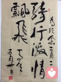 追求成就，往往也能成瘾，而且有些人会成为追求毒药。为什么呢？因为国家总统就一个，最多过若干年才可以轮换。此外，如果基因不好，成瘾的追求成就是一种慢性自杀。众多的辉煌人士英年早衰早逝，恰恰是追求成就累积的肿瘤的恶变的结果！配图