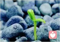 当你意识到自己错了，你还是对的。配图