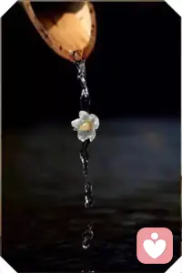 我们总是认为时间会等我们，容许我们从头再来，弥补人生缺憾，岂不知时光一去不再复返。数年的生活变迁，是平淡的生活，却堆积成一个个精彩的故事，激活感动着真真实实我们的生命与心灵，日子在不经意间悄悄远行，人生就在希望与失望之中完成了成熟的蜕变。配图