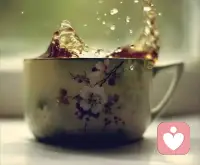 当你的才华还撑不起你的野心的时候，
你就应该静下心来学习；
当你的能力还驾驭不了你的目标时，
就应该沉下心来历练——莫言配图