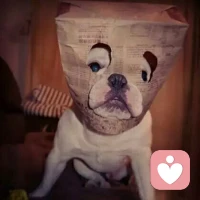 第一次与人诉说悲伤对方会倾听。第二次与人诉说悲伤，对方会安慰。第三次与人诉说悲伤，对方会麻木。第四次与人诉说悲伤，对方会逃避。第五次与人诉说悲伤，对方会远离。悲伤过多的倾诉就强化了伤痛，会赶走真正想帮助你的人。只有你自己从内心好起来时，世界才会因你而变。配图