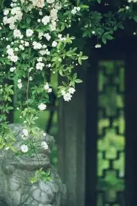 相信自己 用微笑迎接生活工作各種考驗(yàn)
激勵(lì)自己 用行動(dòng)來證明自己不比別人差
鼓舞自己 讓自己時(shí)刻保持一顆上進(jìn)的心
磨練自己 讓自己的心性保持平和
完善自己 讓自己的人生更加出色
忘卻自己 使自己盡可能心靜志遠(yuǎn)配圖