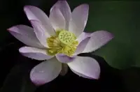 只有那些不計名利的人，沒有心靈的包袱，才會安全地達到人生的巔峰，達到生命的最高度。欲望是最深的陷阱，只有丟掉欲望，丟掉我們命運中的包袱，我們才能抵達人生的頂點。配圖
