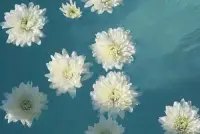 如果因為覺得對命運缺乏安全感而離開你，請不要絕望，因為解決方案觸手可及。利用重塑心靈矩陣，你能最好地消釋心理創(chuàng)傷，改造你自我局限的信念，療愈你的人生。配圖