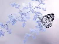 那些令人羨慕的感情，其實也沒那么多山盟海誓，所謂的轟轟烈烈，也只不過是他們在經歷了很多考驗和磨難之后，還可以肩并著肩，手牽著手。配圖
