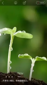 你可以对生活充满抱怨，也可以保持童心，眼里常映美好；你可以愤慨为什么别人有的你没有，也可以选择珍惜现有的一切，只愿活在当下；你可以被动等待，也可以积极行动起来。很多时候，幸福，只是你自己的选择。周末，找到幸福，早安。配图