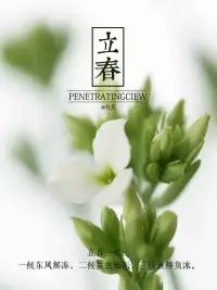 配圖