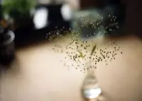 婚姻沒有一開始就能適應的，經歷了磨合適應，才會創造出“合適”。配圖