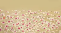 我愛(ài)你不是因?yàn)槟闶钦l(shuí)，而是我在你面前可以是誰(shuí)。配圖