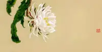 泰戈?duì)栐凇讹w鳥(niǎo)集》中寫道：“只管走過(guò)去，不要逗留著去采了花朵來(lái)保存，因?yàn)橐宦飞希ǘ鋾?huì)繼續(xù)開(kāi)放的。”配圖