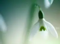 我又問：我來到世界，為了走向哪里？
心說：人畢生只架一座橋。
不同的只是，
是從我走向世界，
還是從我走向本心？配圖
